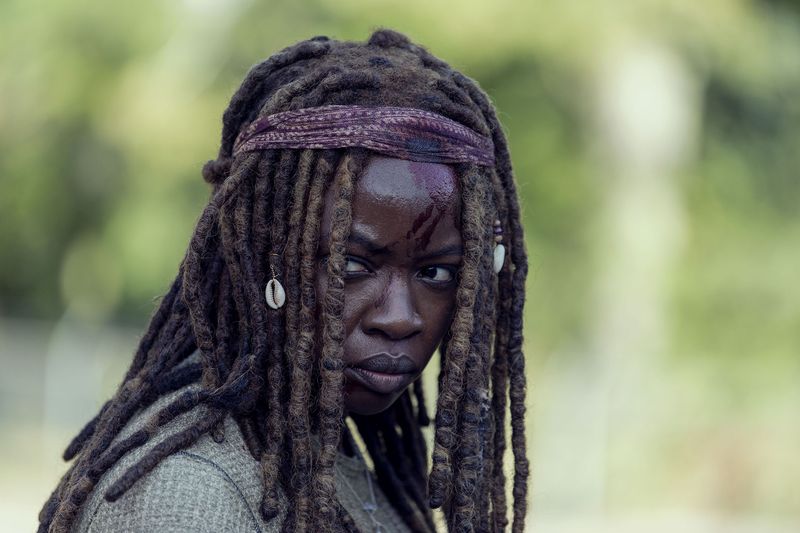 The Walking Dead: Erklärung der Narben von Michonne und Daryl